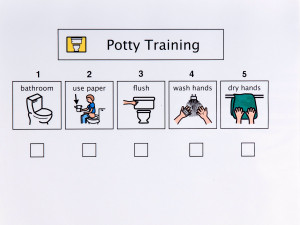toilet training process simple
