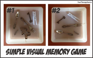 visual memory