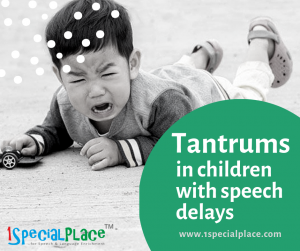 Tantrums in children with speech delays