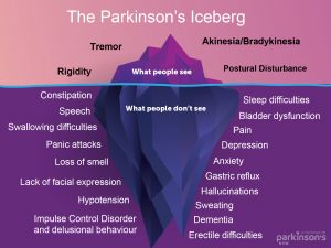 Parkinson's Iceberg