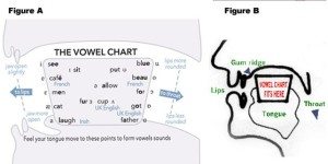 Vowels chart