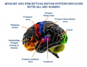 Sensory and perceptual motor systems
