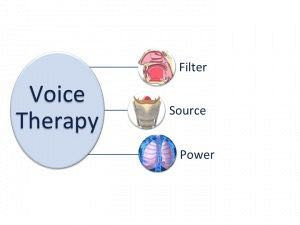 Voice therapy