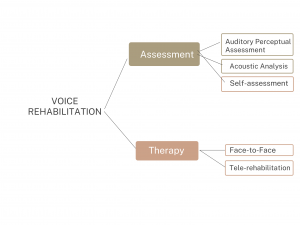 Overview of Voice Assessment and Voice Therapy