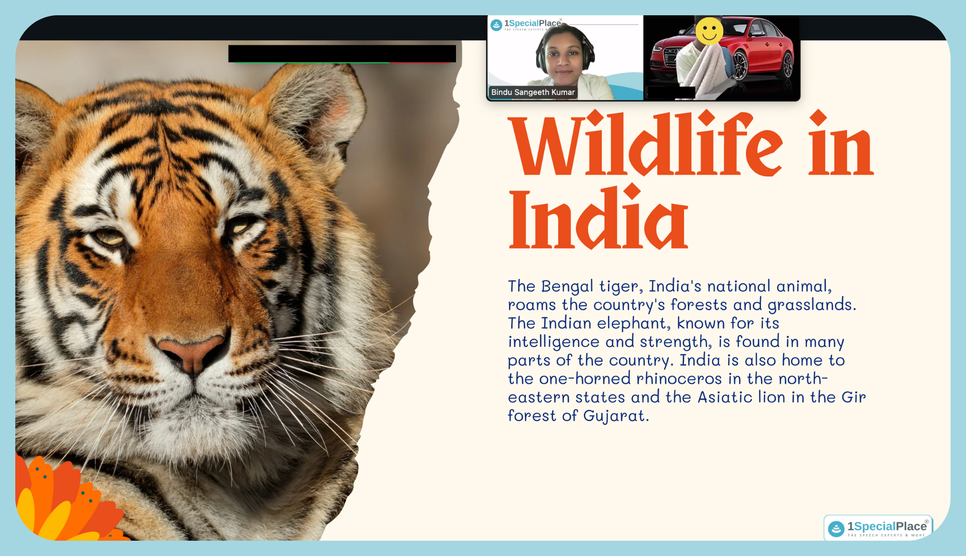 Wildlife in india with 1specialplace